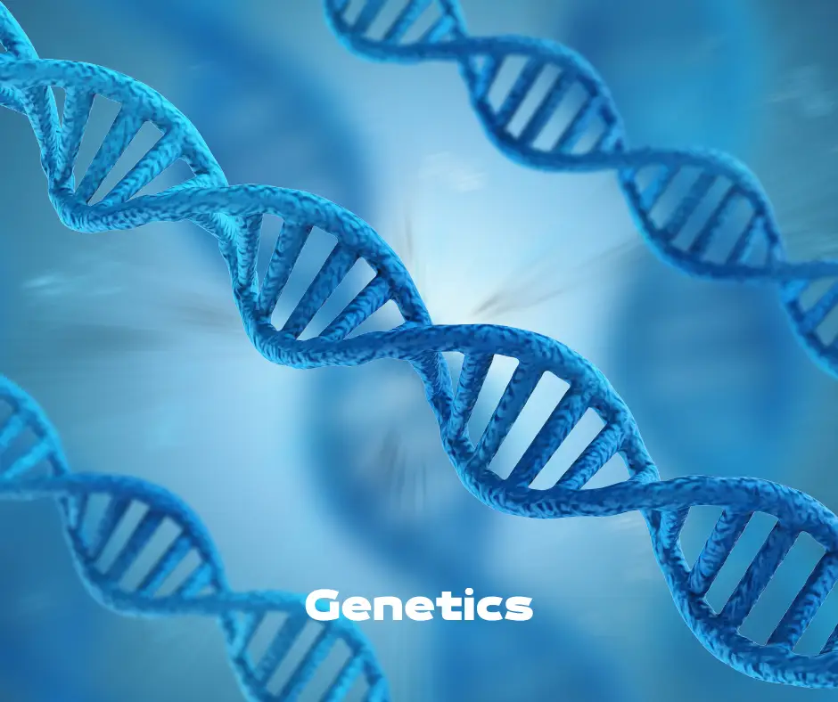 Blue image of human DNA Helix